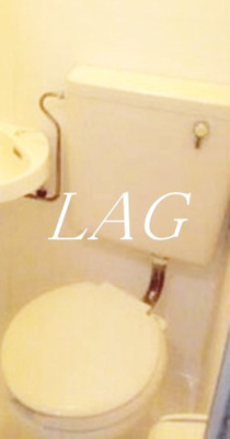 【トイレ】 | サンバレー大成 | トイレです。