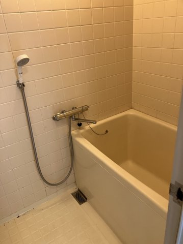 パレットハウスの浴室