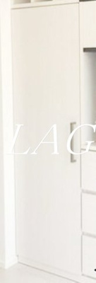 【収納】 | ハーモニーテラス大森東Ⅱ | 収納です。