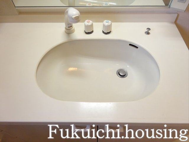 リュゼ経堂の洗面所