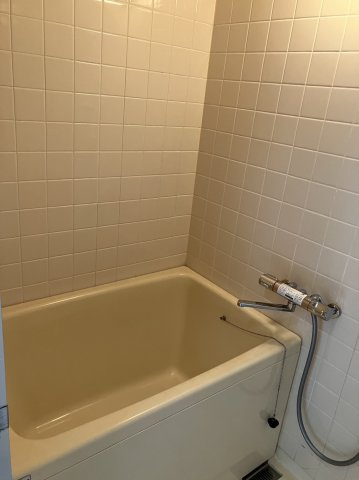 パレットハウスの浴室