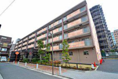 セレリーオ・ニッコーの画像