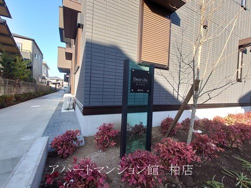 Dear Life のエントランス