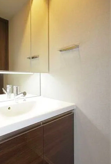 ブランシエスタ森下の洗面所