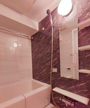 ジ　アドレス梅田 の浴室