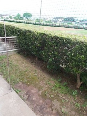 【庭】 | コーポあづまⅤ