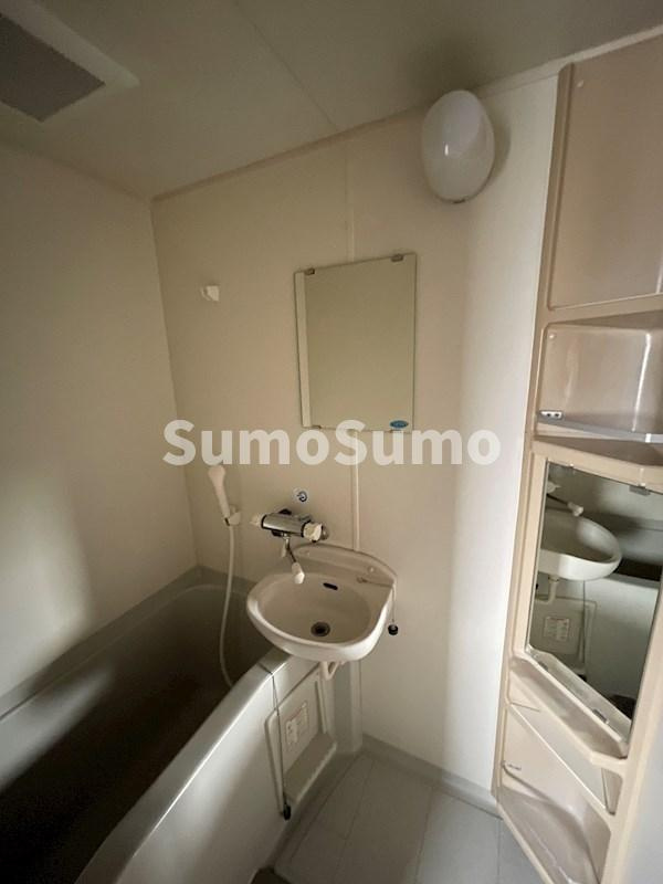 パークハイム大濠の洗面所