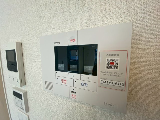 マリエレイ・ラニのその他