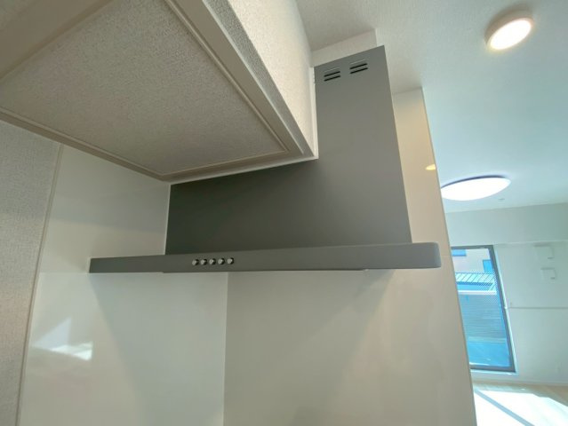 マリエレイ・ラニのその他