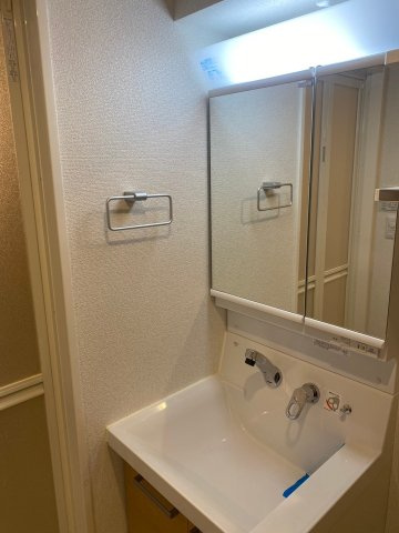 川口市北原台１丁目の賃貸マンションの洗面所|洗面所です