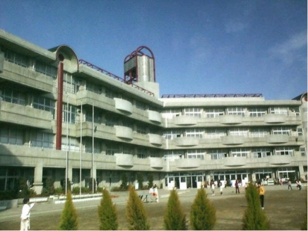 エンリッチＦ1号の周辺|戸塚綾瀬小学校 1570m