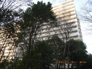 【外観】 | 管理が行き届いた綺麗な外観