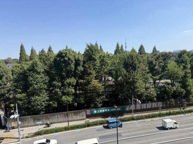 ルネッサンスタワー上野池之端の展望|バルコニー眺望