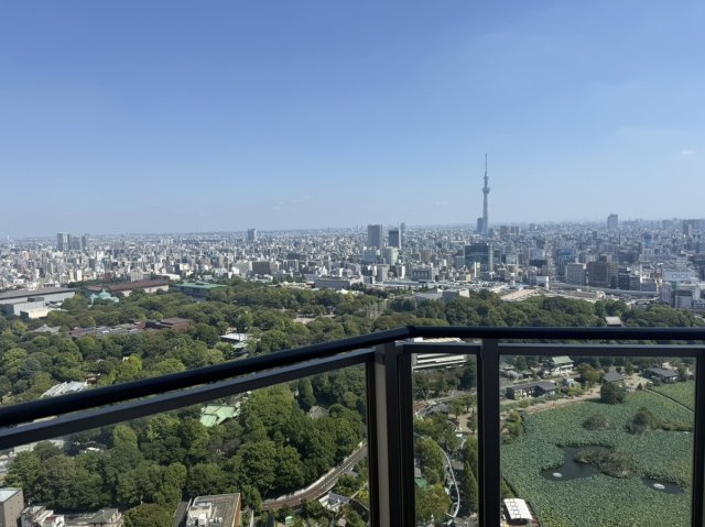 ルネッサンスタワー上野池之端の展望|バルコニー眺望