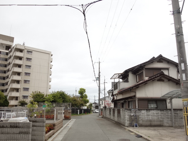 和（Ｎａｇｏｍｉ）の展望