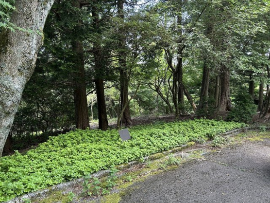 【外観】 | 東急天城高原別荘地　売地