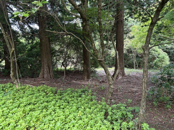 【外観】 | 東急天城高原別荘地　売地