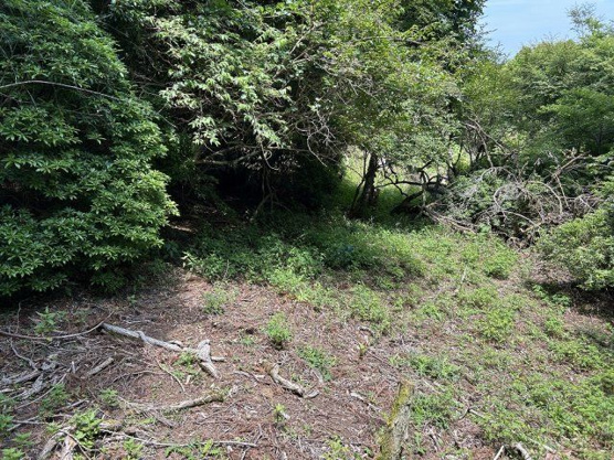 【外観】 | 東急天城高原別荘地　売地