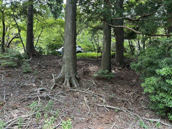 【外観】 | 東急天城高原別荘地　売地