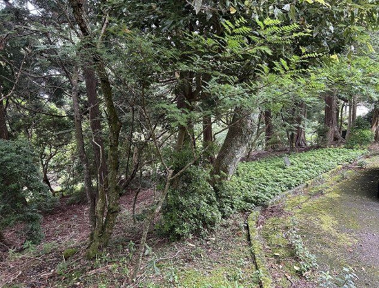 【外観】 | 東急天城高原別荘地　売地