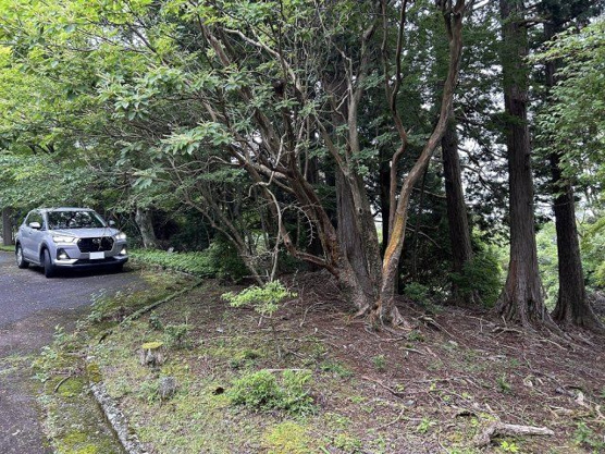 【前面道路含む現地写真】 | 東急天城高原別荘地　売地