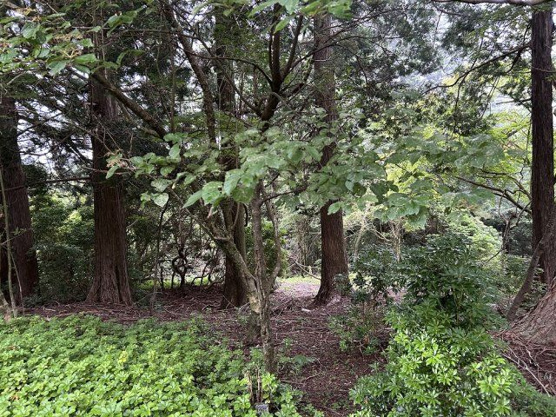 【外観】 | 東急天城高原別荘地　売地