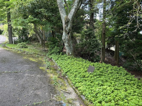 【外観】 | 東急天城高原別荘地　売地