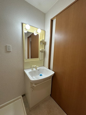 【洗面所】 | ライリッヒ・ストーレ | シャンプードレッサーで忙しい朝にも寝癖の付いた頭にも優しい☆お化粧するときにも大活躍です♪