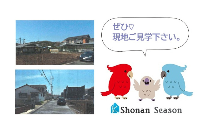 【前面道路含む現地写真】 | プランニングの幅が広がる圧巻の土地50坪超え！
毎日のお散歩が日課になる「大磯こゆるぎの浜」徒歩８分！
水平線広がる青い海を眺めながら、心身共にリラックスできるロケーション！