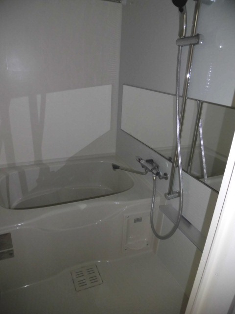 大阪市中央区上本町西１丁目の賃貸マンションの浴室