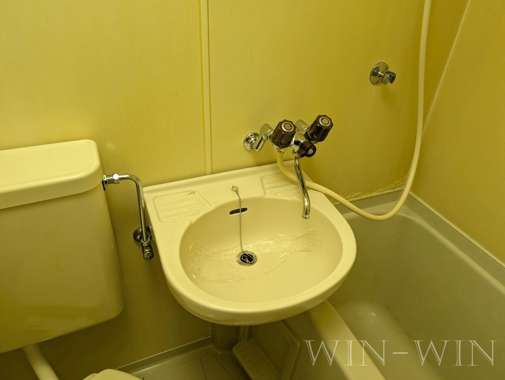 フラッツハナ Ⅱの洗面所