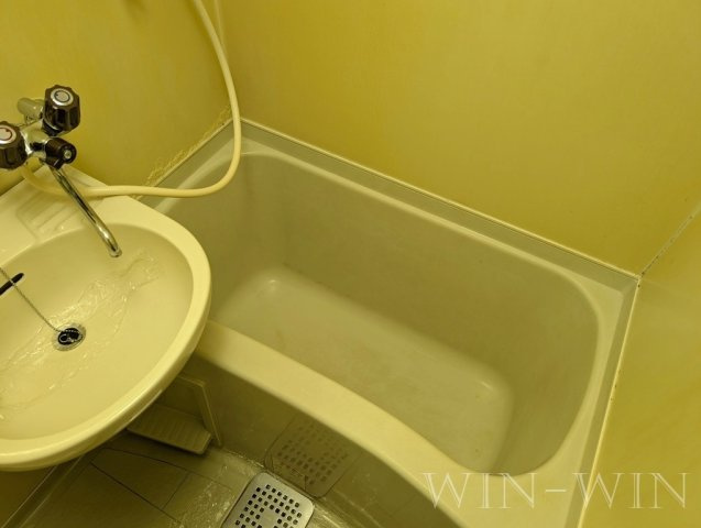 フラッツハナ Ⅱのその他