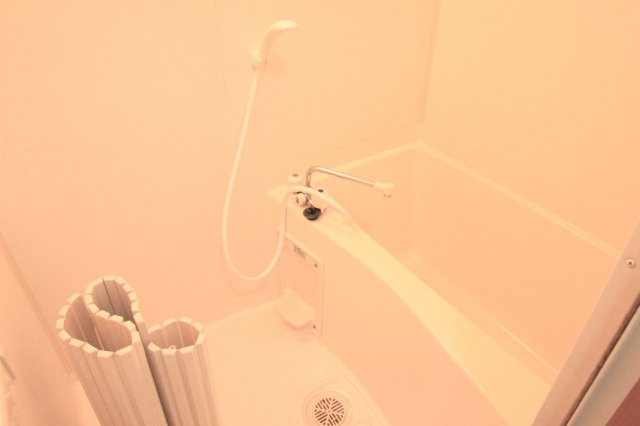 ルミエール八戸ノ里の浴室