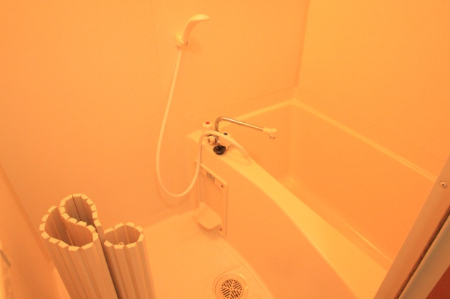 ルミエール八戸ノ里の浴室