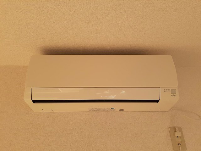 サンシャイン・ドエルのその他