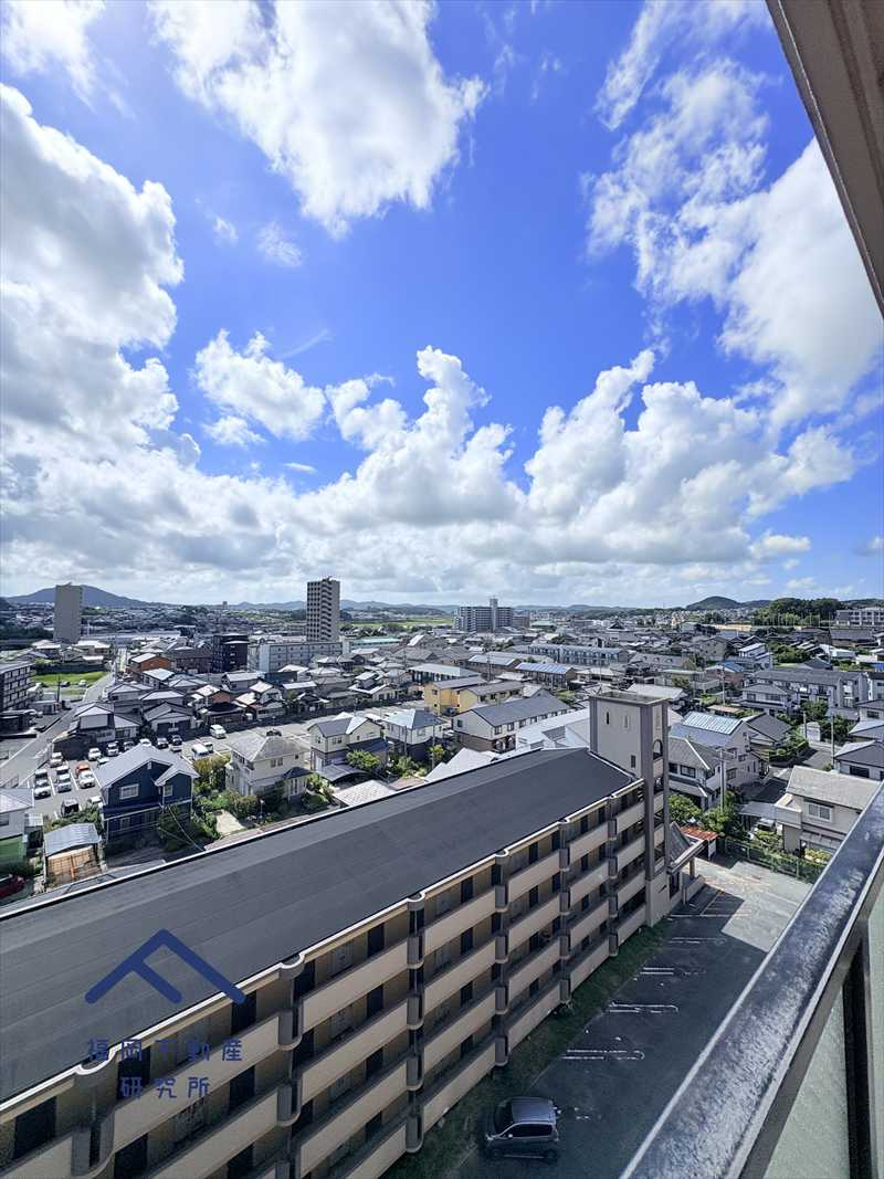 アンピール教育大前IIの展望