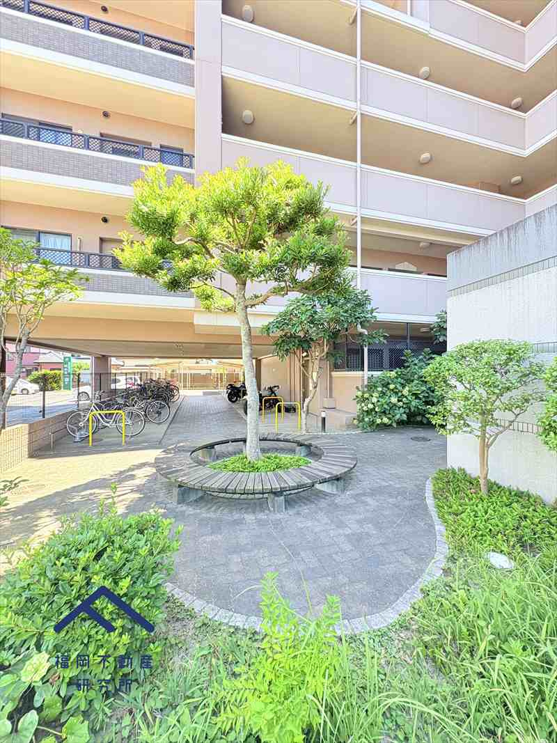 アンピール教育大前IIのその他