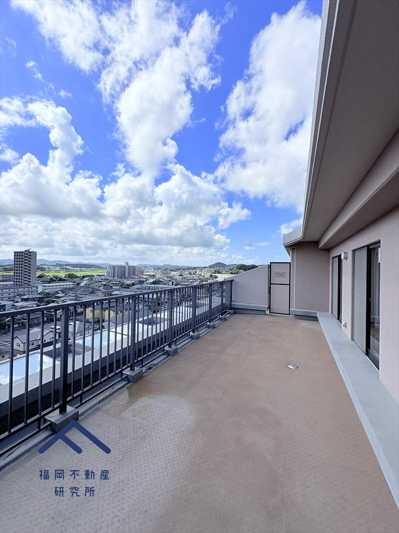 アンピール教育大前IIの展望