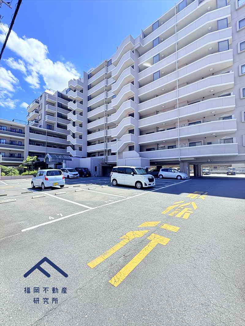 アンピール教育大前IIのその他