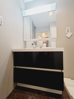 【独立洗面台】 | 北区上十条1丁目　新築戸建　A号棟 8490万円