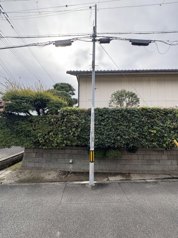 ライズコートの展望