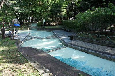 【周辺】 | 北区上十条1丁目　新築戸建　B号棟 8990万円 | 十条野鳥の森緑地