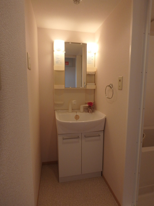 クレインハイム　Aの洗面所