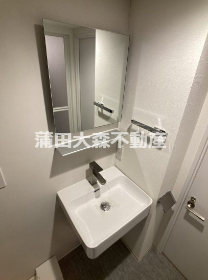 trias541の洗面所