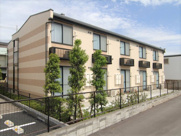 ハピネスの画像