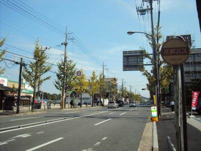 コーポエルの周辺|前面道路