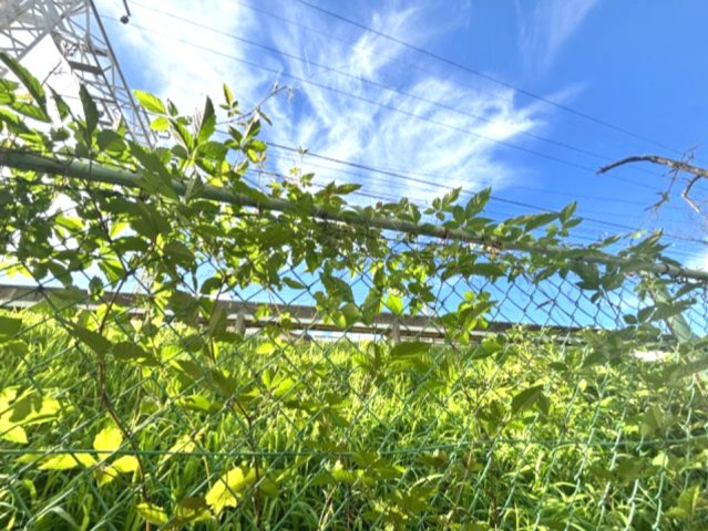 岡本南マンションの展望