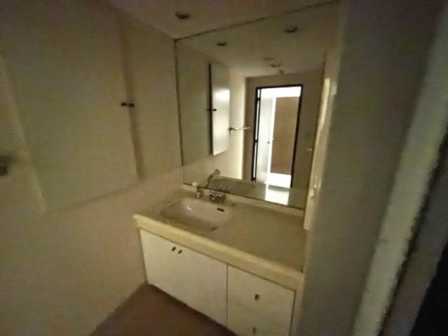 シュネルパークレジデンス　の独立洗面台