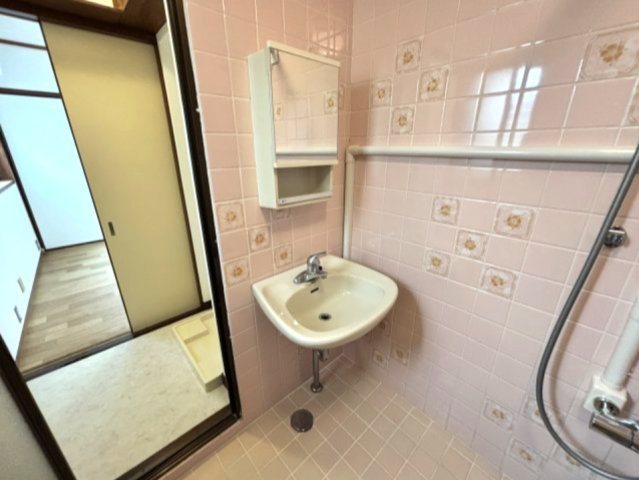 グリーンマンション　の洗面所