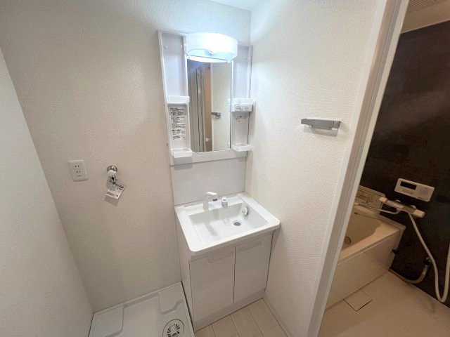 ヴィラ・オークラの洗面所